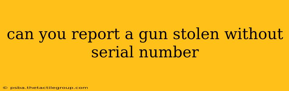 can you report a gun stolen without serial number