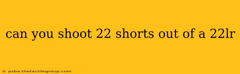 can you shoot 22 shorts out of a 22lr