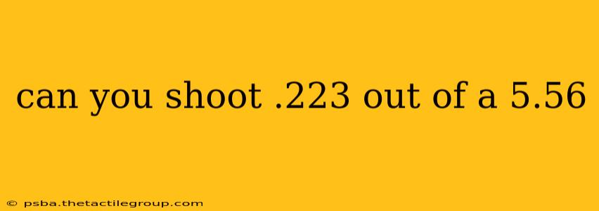 can you shoot .223 out of a 5.56