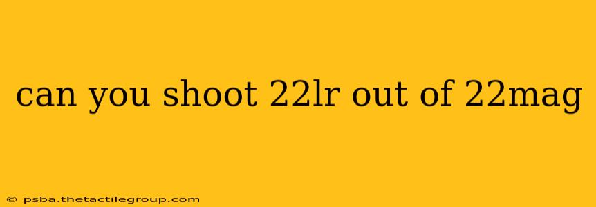 can you shoot 22lr out of 22mag