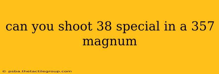 can you shoot 38 special in a 357 magnum