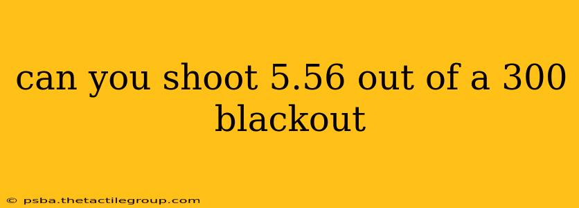 can you shoot 5.56 out of a 300 blackout