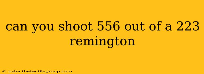 can you shoot 556 out of a 223 remington