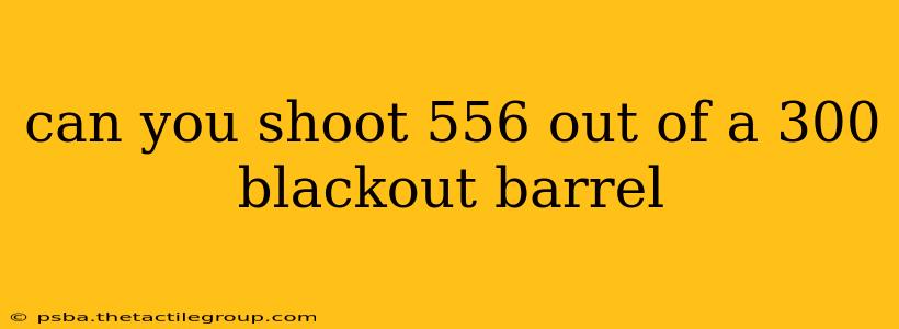 can you shoot 556 out of a 300 blackout barrel