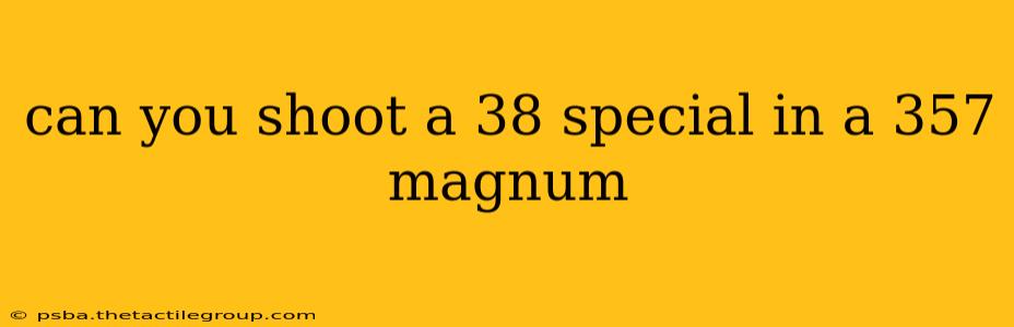 can you shoot a 38 special in a 357 magnum