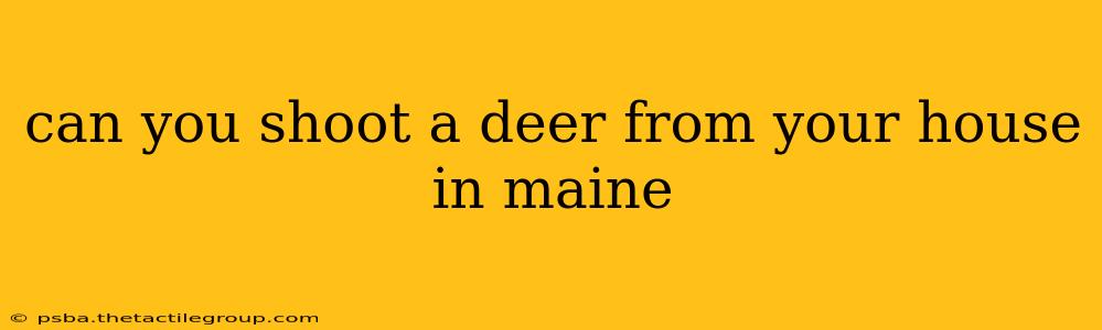 can you shoot a deer from your house in maine