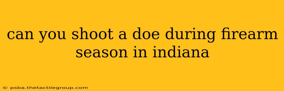 can you shoot a doe during firearm season in indiana