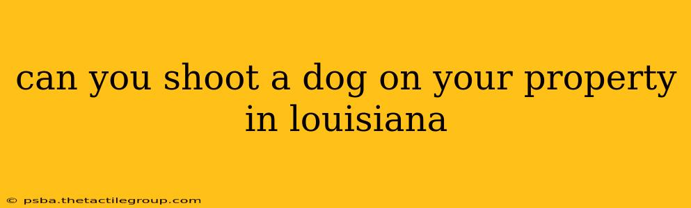 can you shoot a dog on your property in louisiana