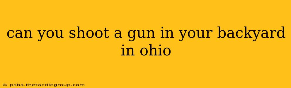 can you shoot a gun in your backyard in ohio