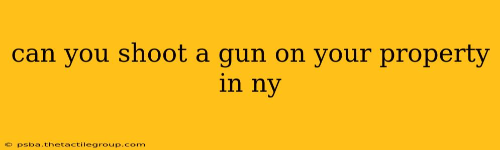 can you shoot a gun on your property in ny