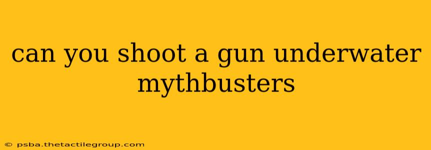 can you shoot a gun underwater mythbusters