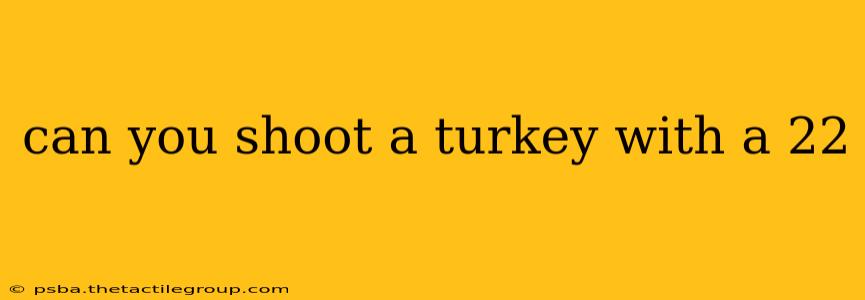 can you shoot a turkey with a 22