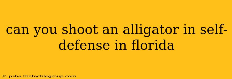 can you shoot an alligator in self-defense in florida