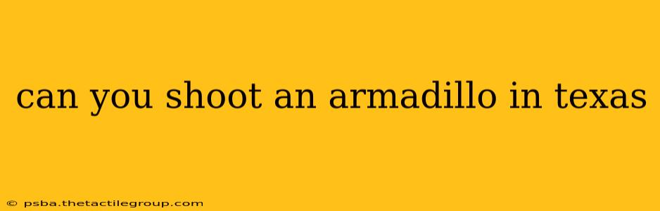 can you shoot an armadillo in texas