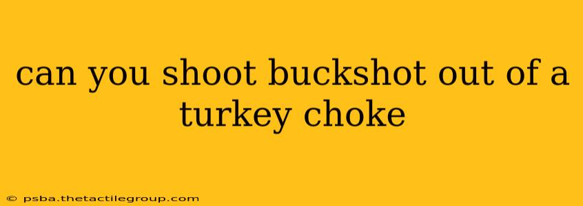 can you shoot buckshot out of a turkey choke