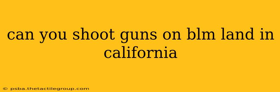 can you shoot guns on blm land in california