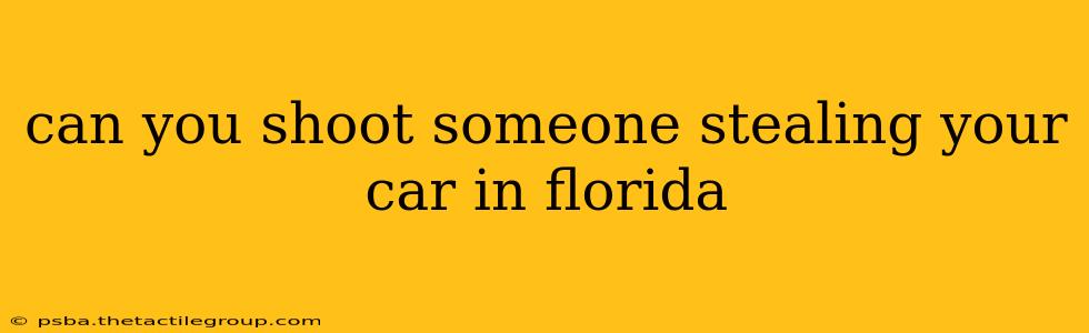 can you shoot someone stealing your car in florida