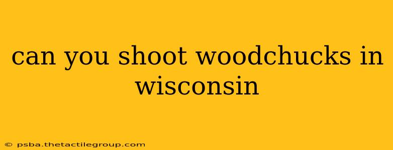 can you shoot woodchucks in wisconsin