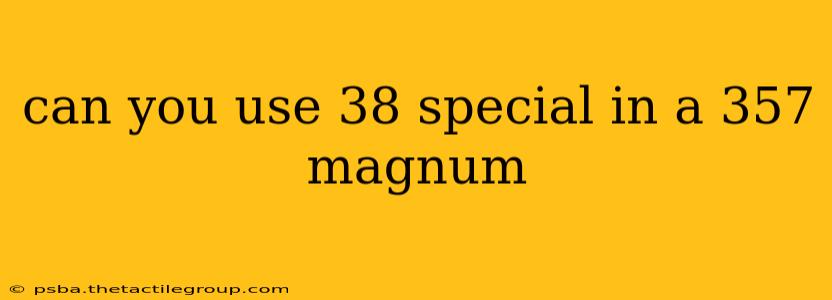 can you use 38 special in a 357 magnum