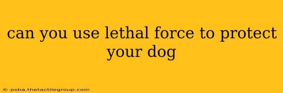 can you use lethal force to protect your dog