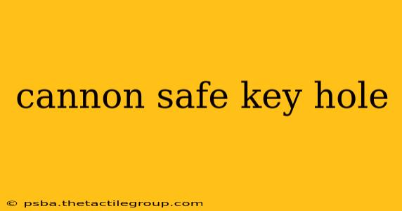 cannon safe key hole