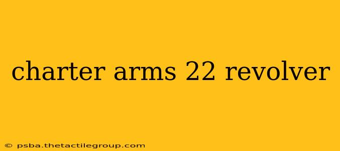 charter arms 22 revolver