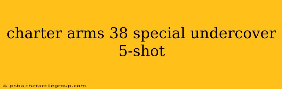 charter arms 38 special undercover 5-shot