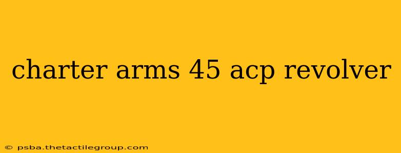 charter arms 45 acp revolver