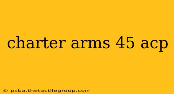 charter arms 45 acp