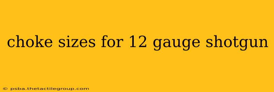 choke sizes for 12 gauge shotgun