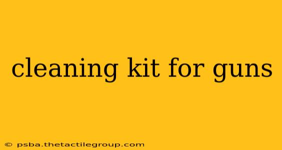 cleaning kit for guns