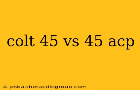 colt 45 vs 45 acp