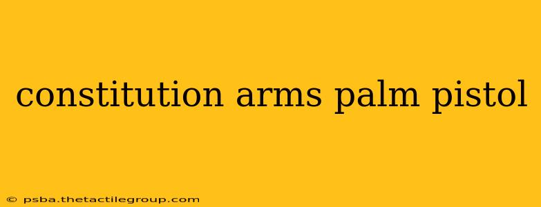 constitution arms palm pistol