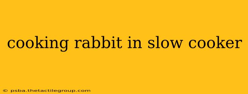 cooking rabbit in slow cooker