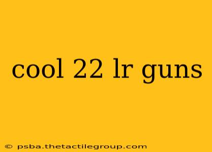 cool 22 lr guns