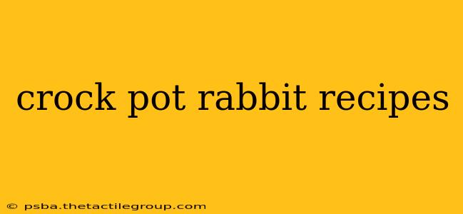 crock pot rabbit recipes