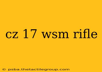 cz 17 wsm rifle