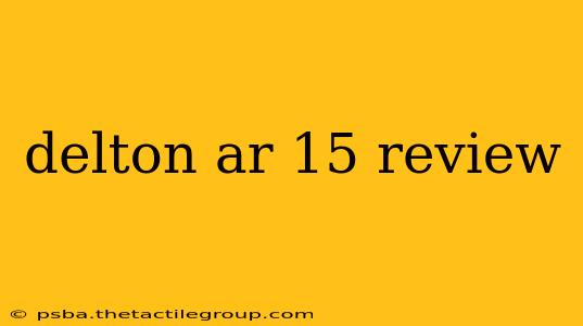 delton ar 15 review