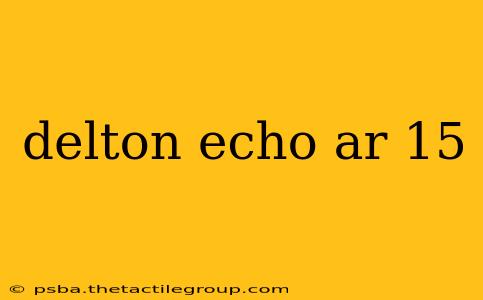 delton echo ar 15