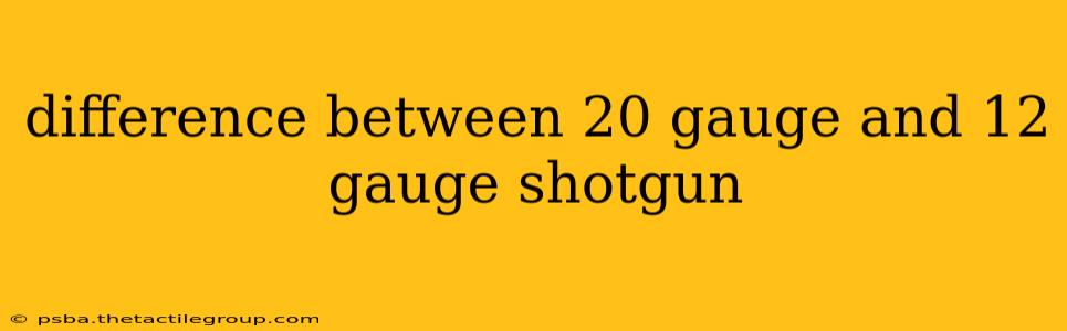 difference between 20 gauge and 12 gauge shotgun