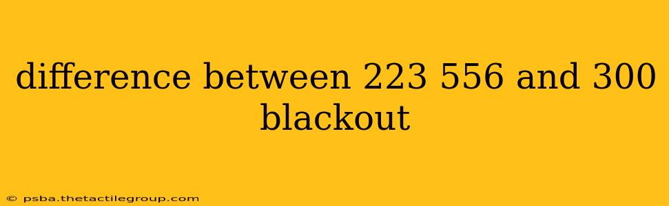 difference between 223 556 and 300 blackout