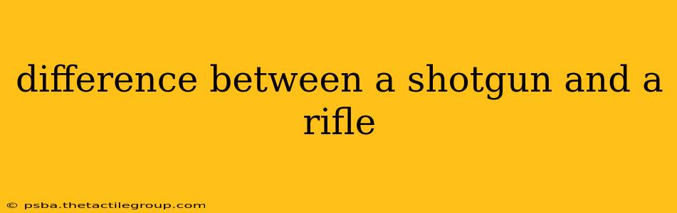 difference between a shotgun and a rifle