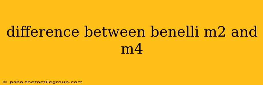 difference between benelli m2 and m4