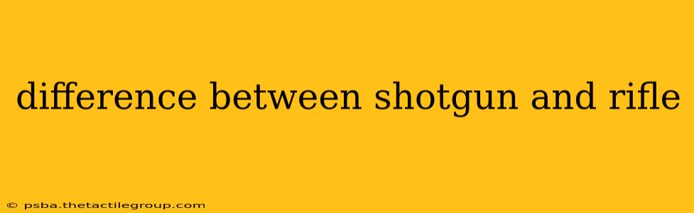 difference between shotgun and rifle