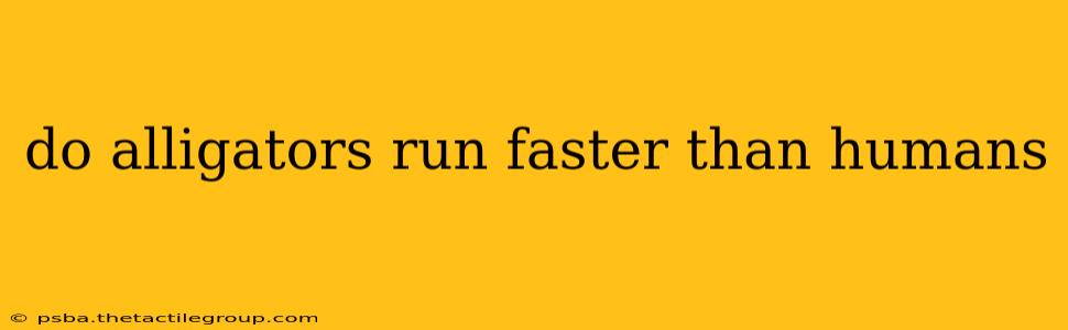 do alligators run faster than humans