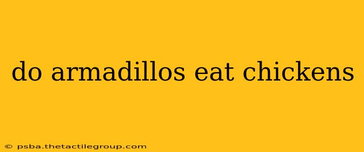 do armadillos eat chickens