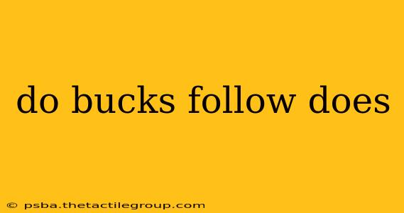 do bucks follow does