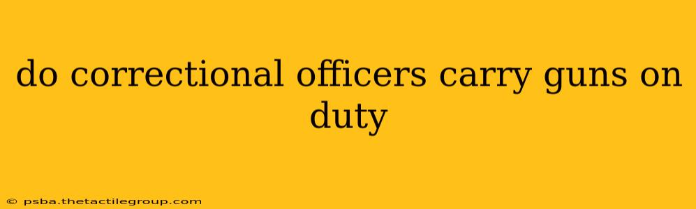 do correctional officers carry guns on duty