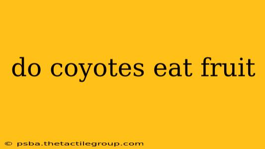 do coyotes eat fruit