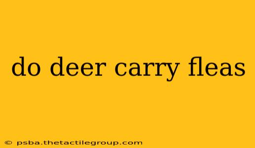 do deer carry fleas